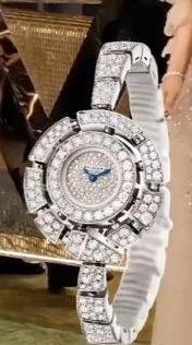Bulgari 102535 VIPs watch collection