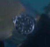Rolex 16800 celebrities