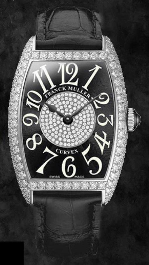 Franck Muller 1752 QZ D 1P PT VIPs watch collection