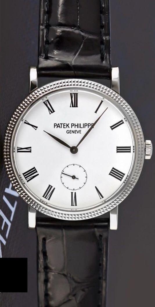 Patek Philippe 25119G VIPs watch collection