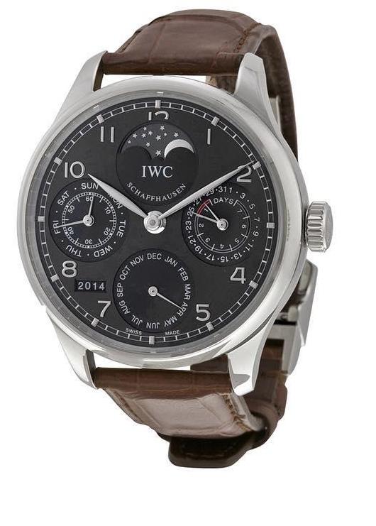 IWC IW502307 celebrities